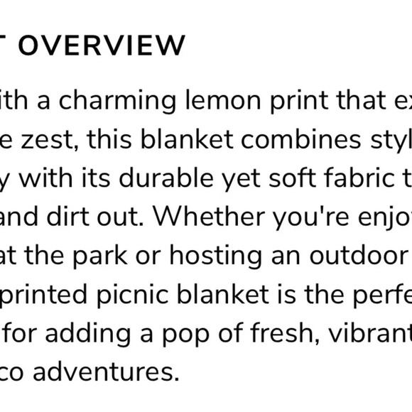 Kate Spade Picnic sheet - Picture 3 of 3